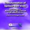 Transformation af Epstein-Barr Virus (Til download)